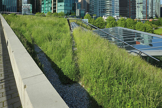 Green Roof Systems with Polyurethane Water Storage Mats