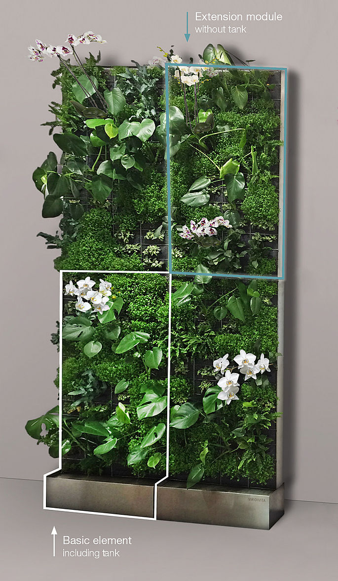 Flexible modules for Planted Walls