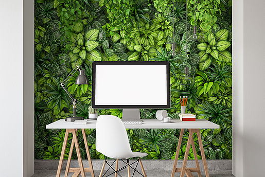 Grüne Wand fürs HomeOffice