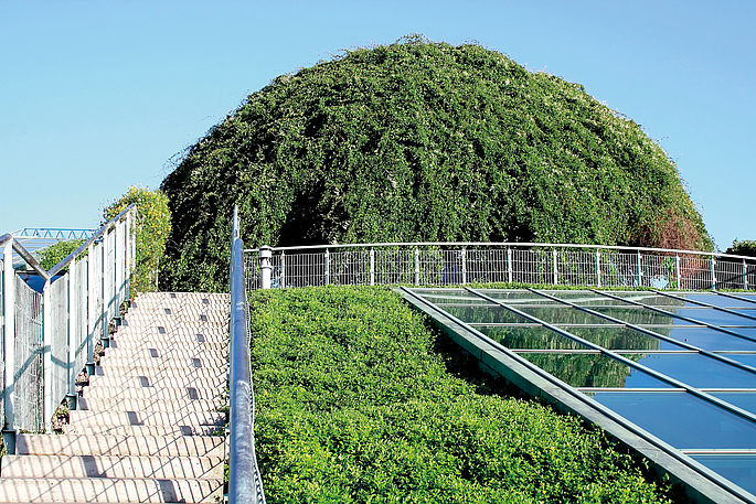 Lightweight Green Roof Systems