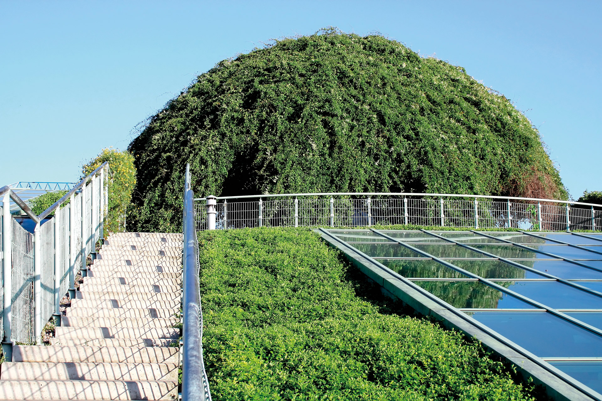 Lightweight Green Roof Systems